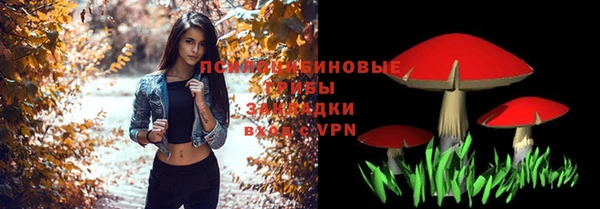 сатива Карпинск