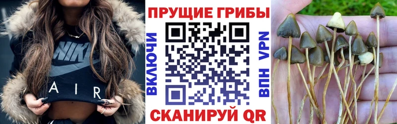 Галлюциногенные грибы Psilocybine cubensis  Касли 