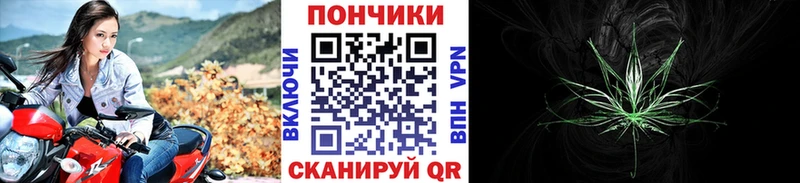 Конопля план  наркотики  Касли 